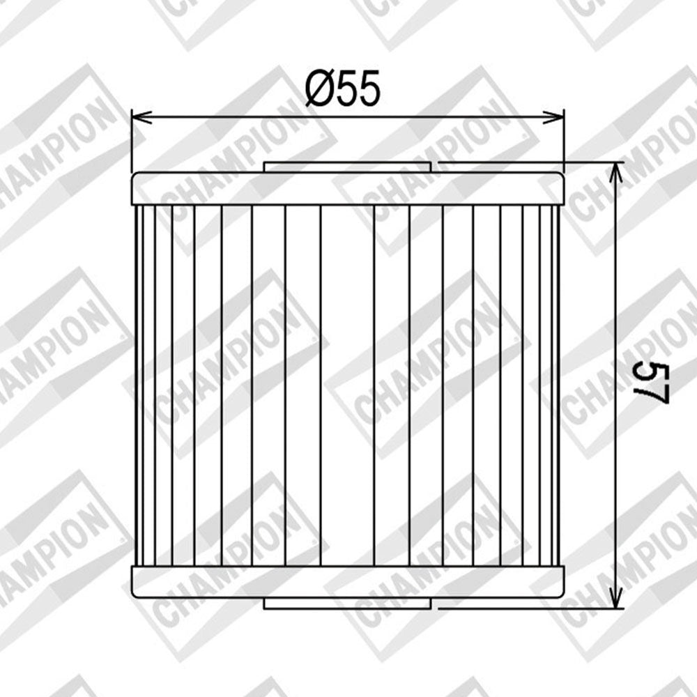 OIL FILTER CHAMPION - COF023 (123)