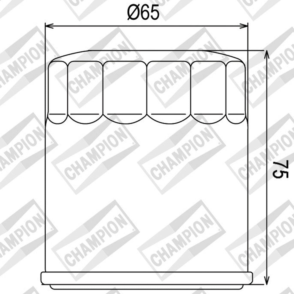 OIL FILTER CHAMPION - COF056 (156)