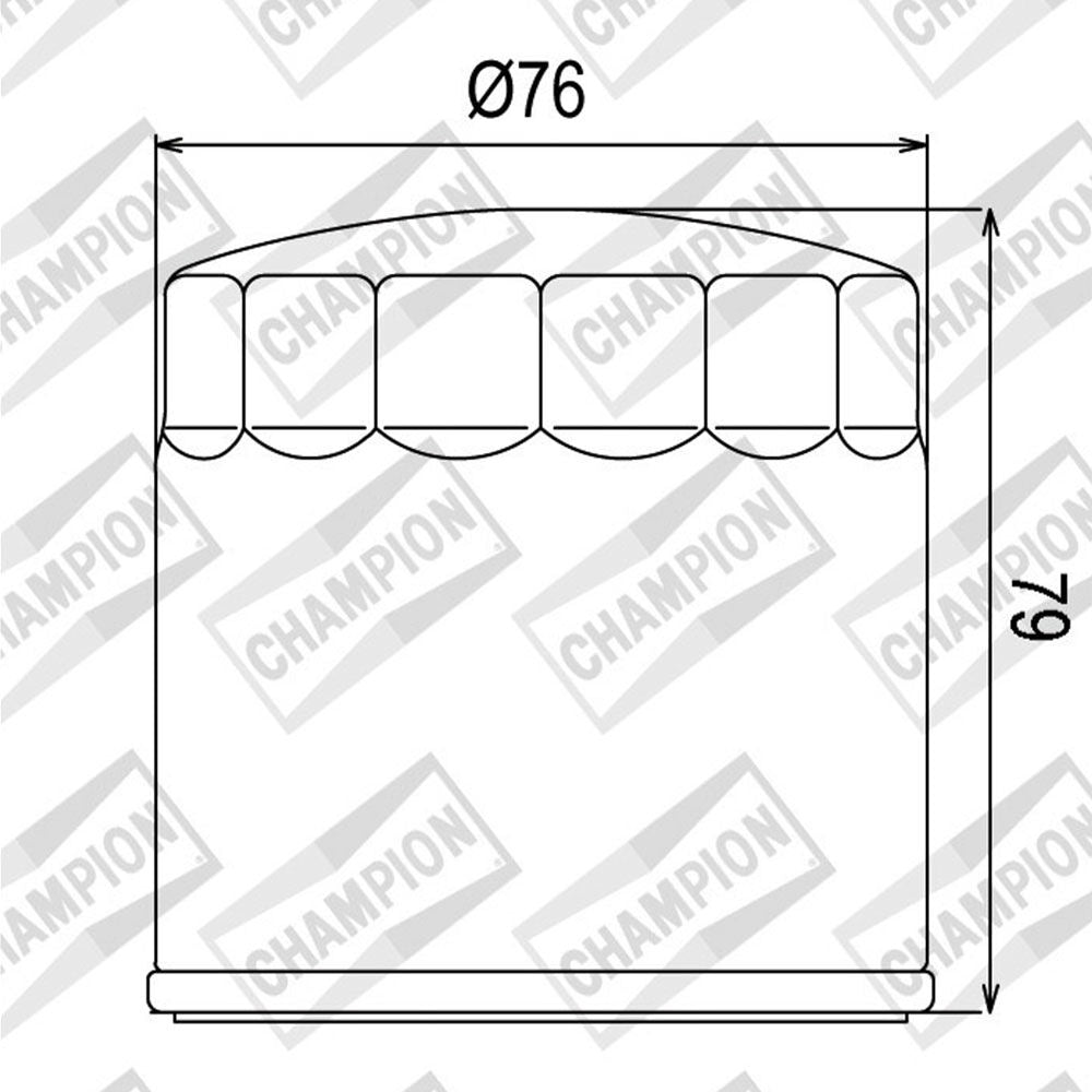 OIL FILTER CHAMPION - COF063 (163)