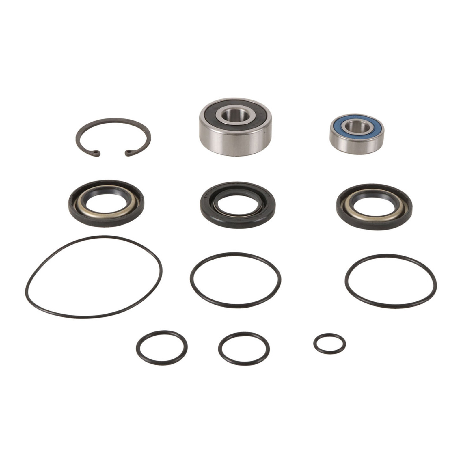 All Balls Racing Jet Pump Rebuild Kit (14-3008)