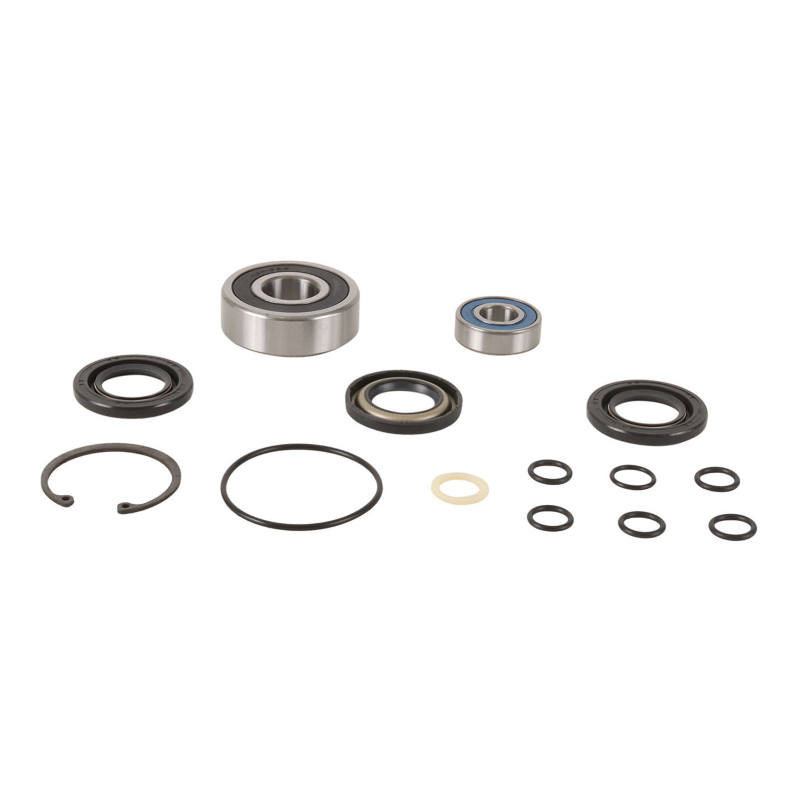 All Balls Racing Jet Pump Rebuild Kit (14-3010)