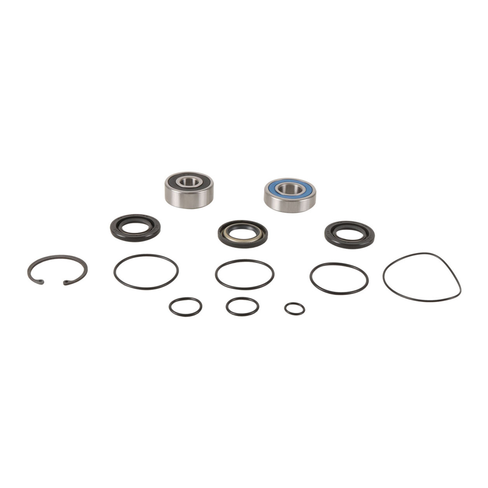 All Balls Racing Jet Pump Rebuild Kit (14-3015)