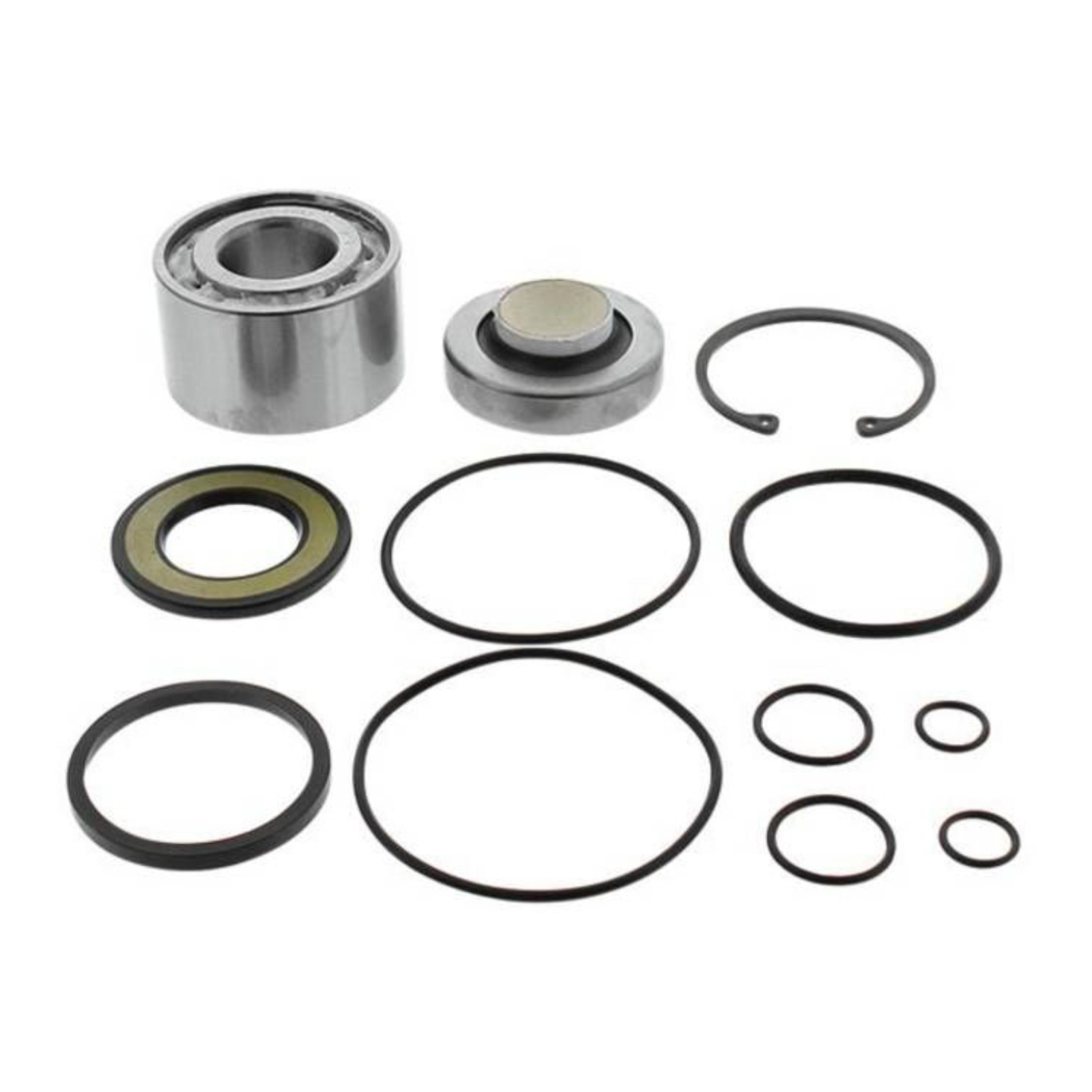 All Balls Racing Jet Pump Rebuild Kit (14-3020)