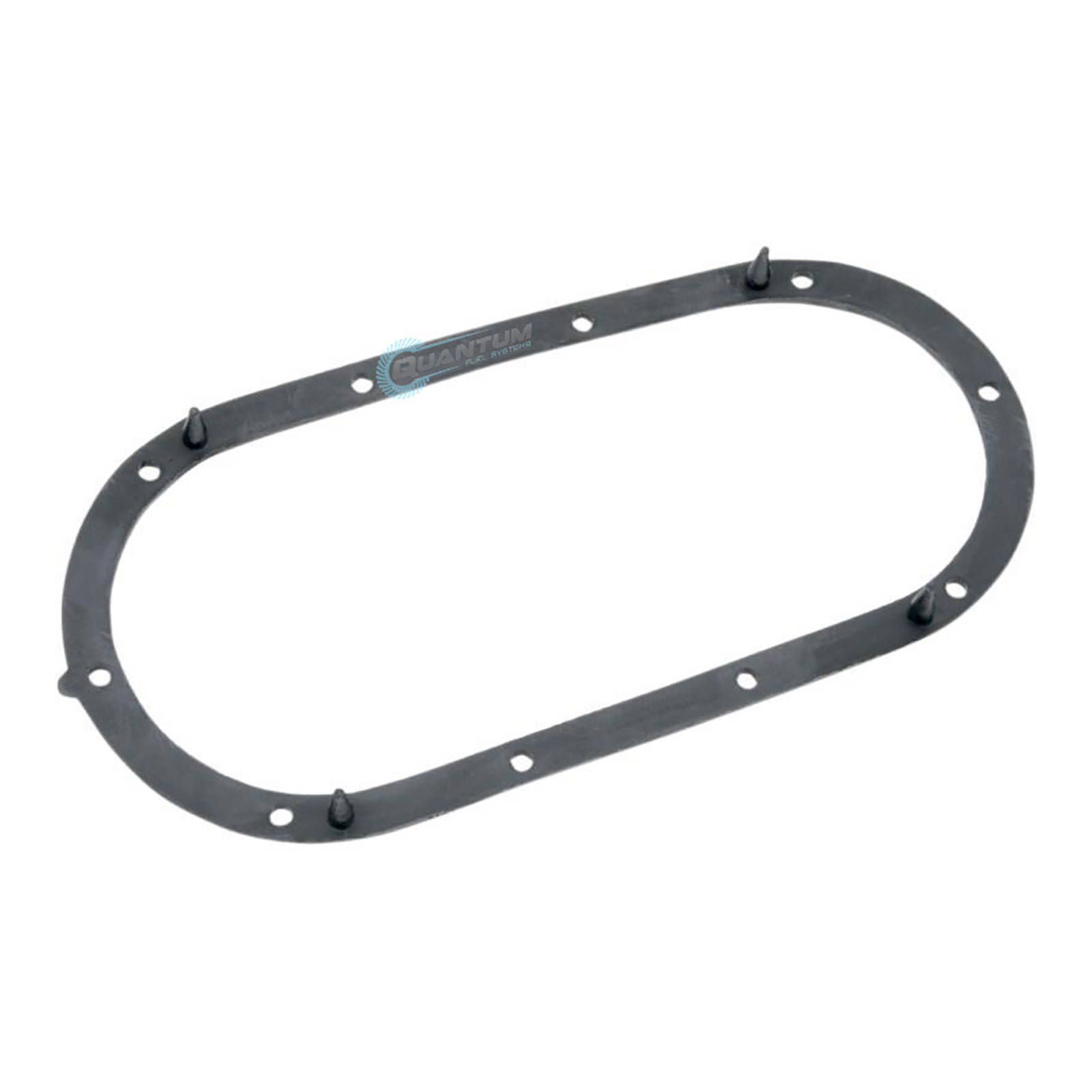 Quantum Fuel Pump Seal Gasket