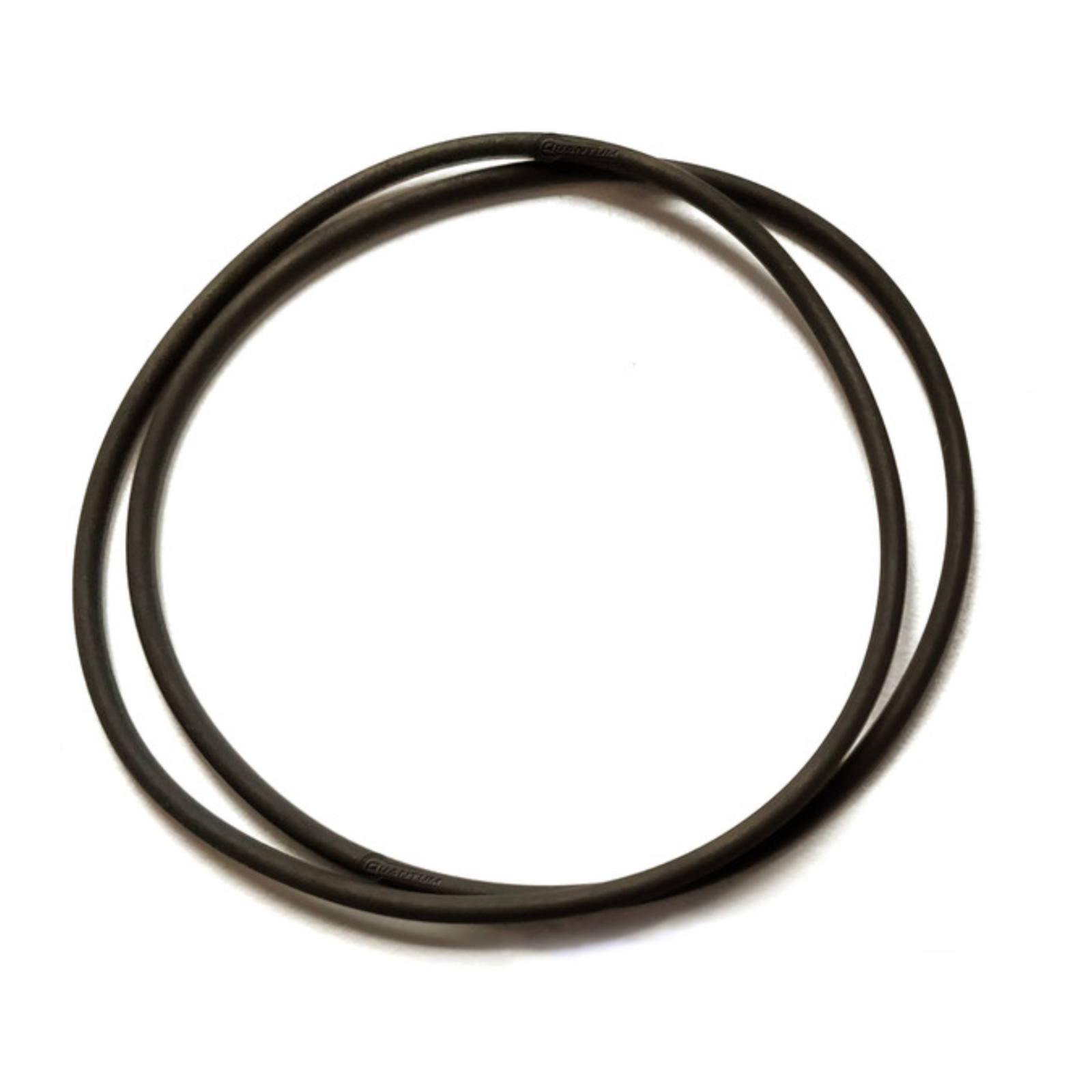 Quantum Fuel Pump Seal Gasket