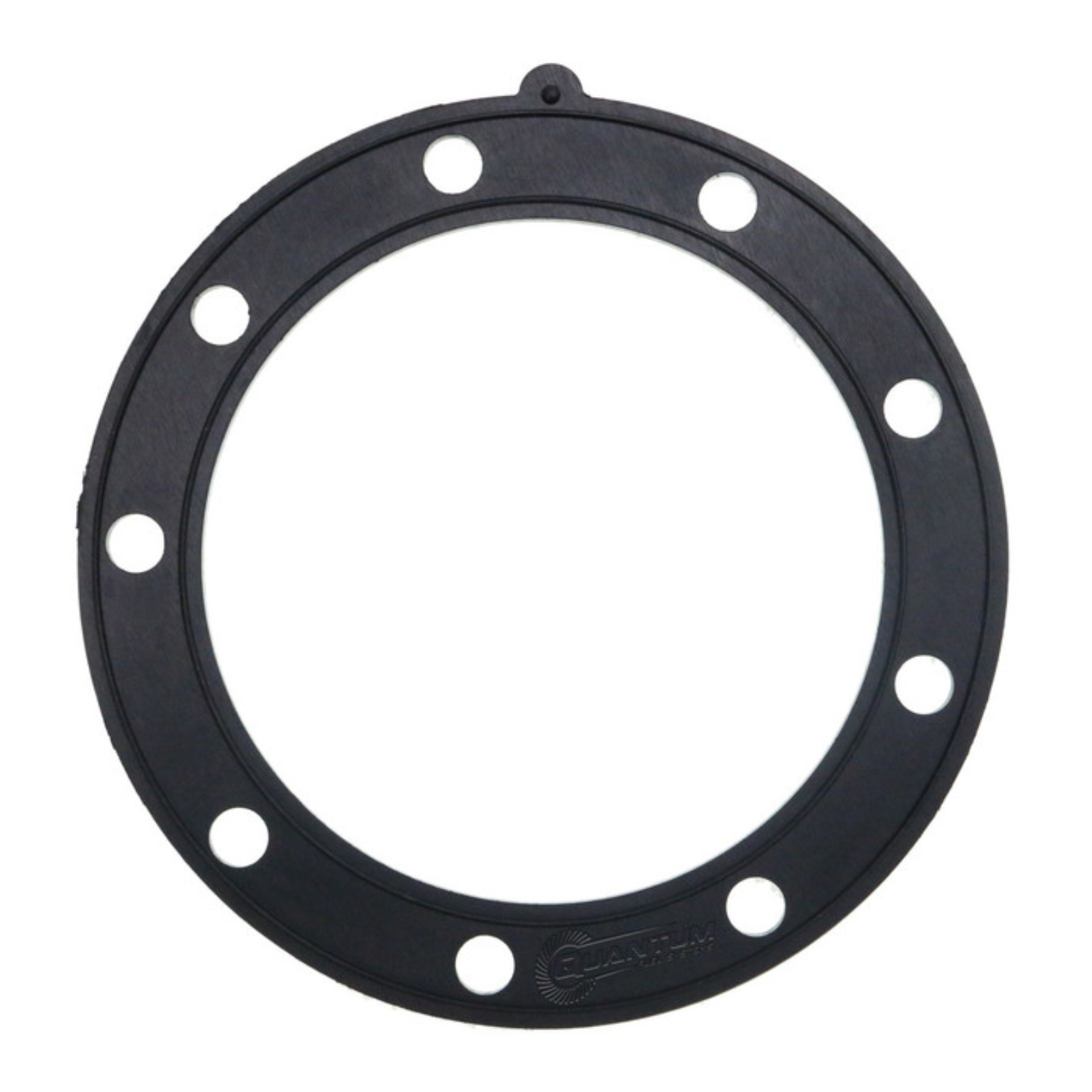 Quantum Fuel Pump Seal Gasket