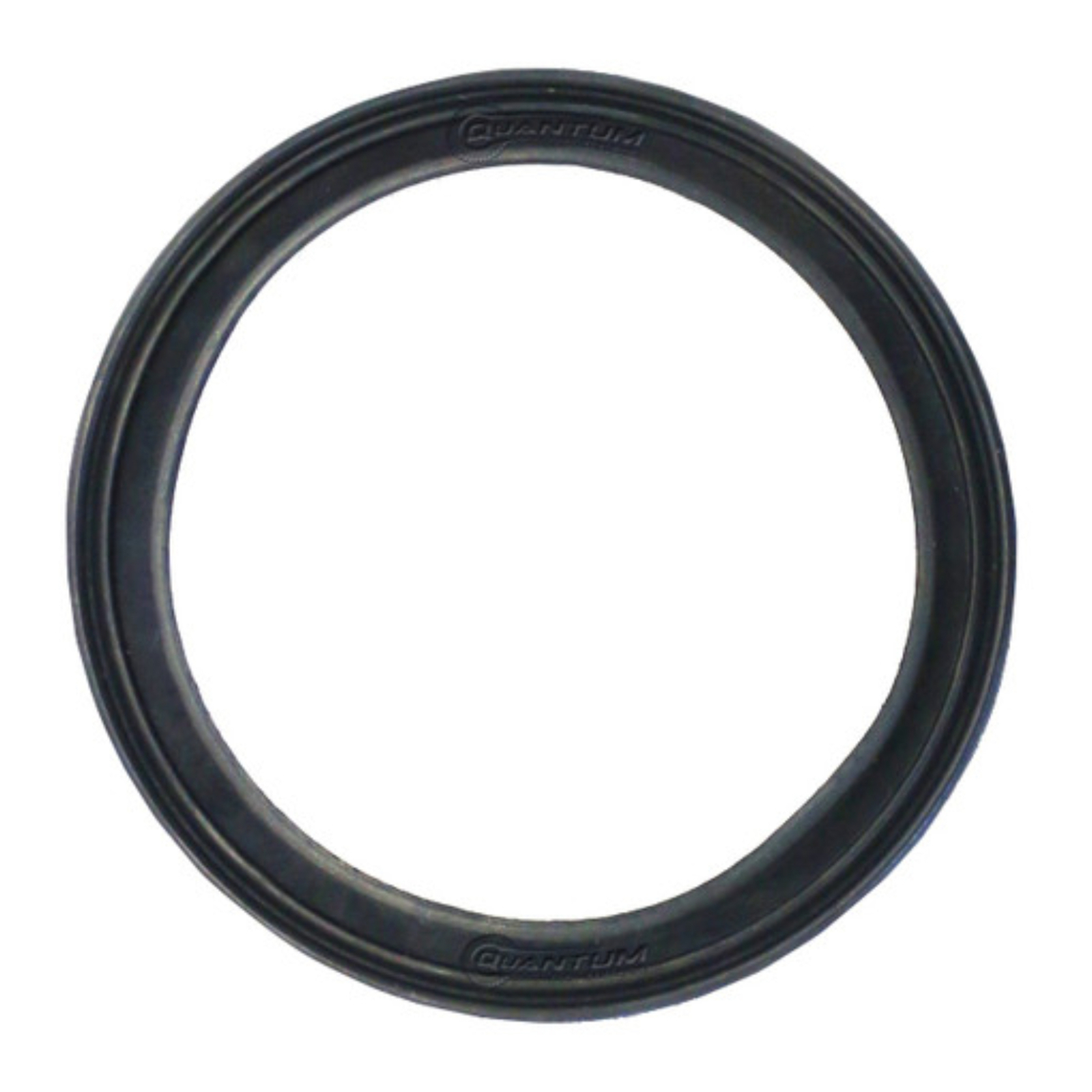 Quantum Fuel Pump Seal Gasket