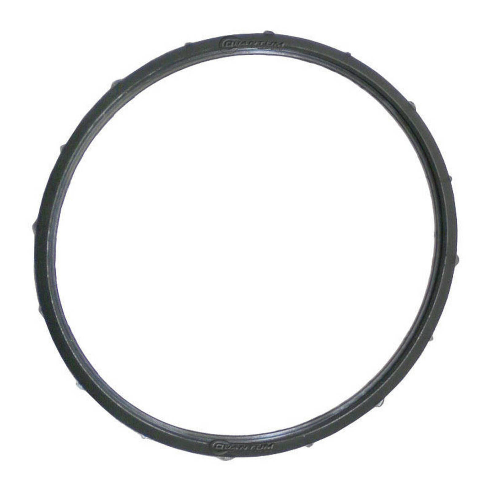 Quantum Fuel Pump Seal Gasket