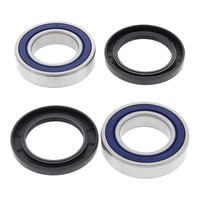 All Balls Racing Wheel Bearing Kit (25-1313)