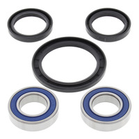 All Balls Racing Wheel Bearing Kit (25-1584)