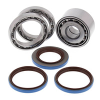 DIFF BEARING & SEAL KIT REAR 25-2098