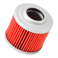 K&N Oil Filter (HF151)