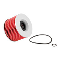 K&N Oil Filter (HF192)