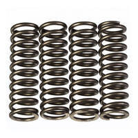 Premier Clutch Springs - Heavy Duty