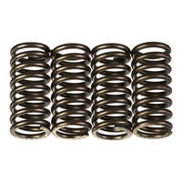 Premier Clutch Springs - Heavy Duty