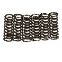 Premier Clutch Springs - Heavy Duty