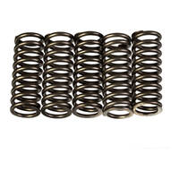 Premier Clutch Springs - Heavy Duty