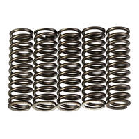 Premier Clutch Springs - Heavy Duty