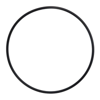 Quantum Fuel Pump Seal Gasket