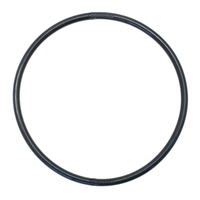 Quantum Fuel Pump Seal Gasket