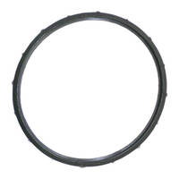 Quantum Fuel Pump Seal Gasket