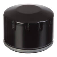 Whites Oil Filter (HF164)