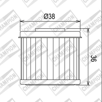 OIL FILTER CHAMPION - COF016 (116)