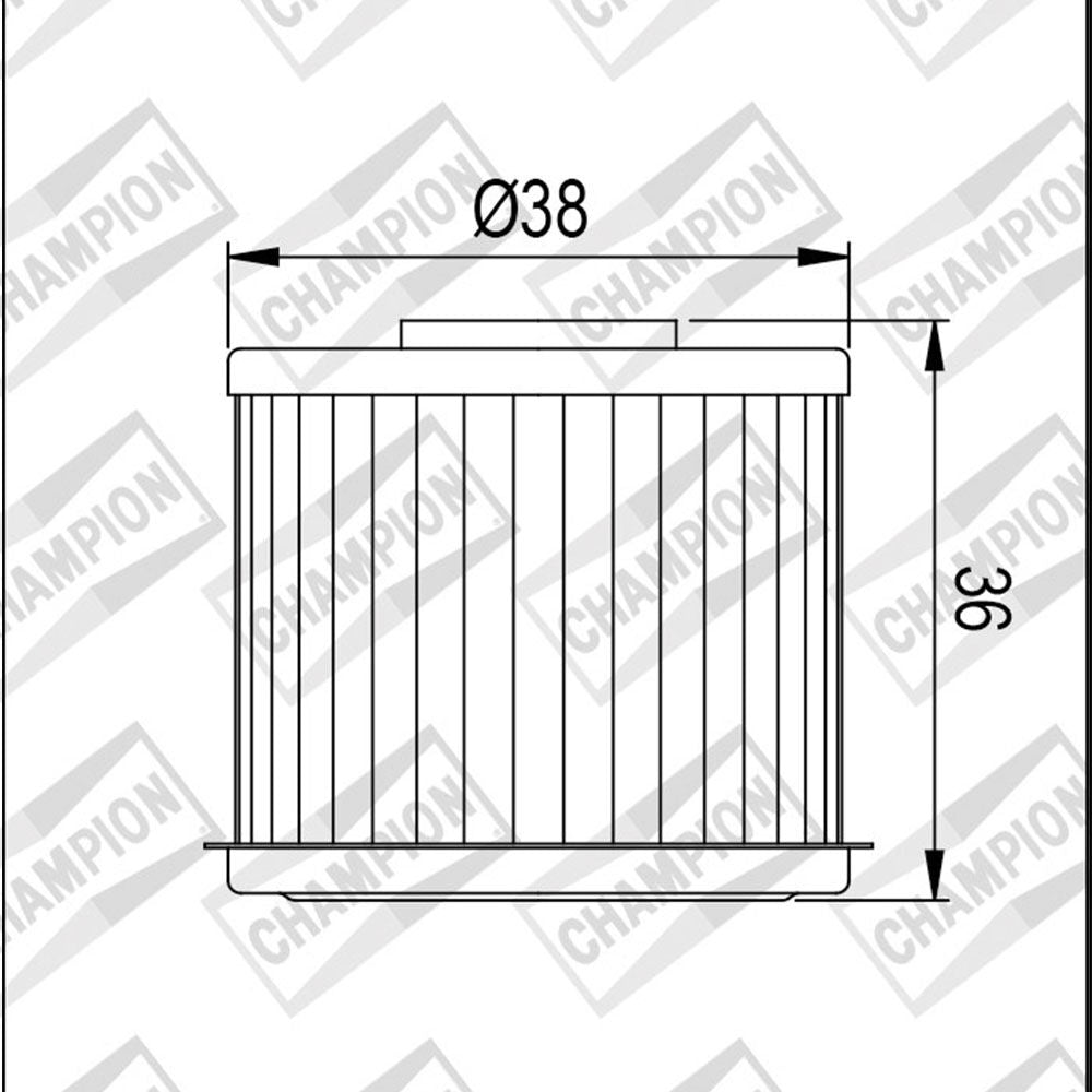 OIL FILTER CHAMPION - COF017 (117)