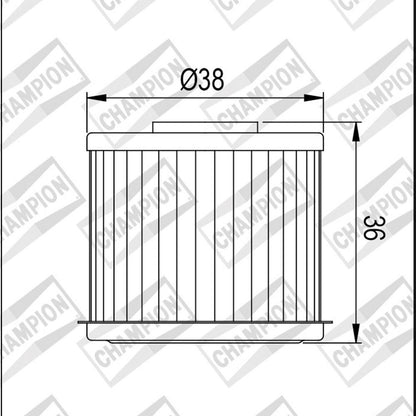 OIL FILTER CHAMPION - COF017 (117)