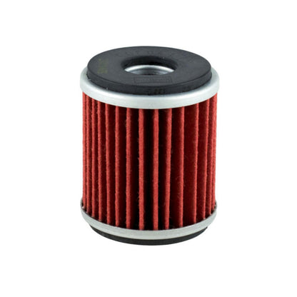 OIL FILTER CHAMPION - COF041 (141)