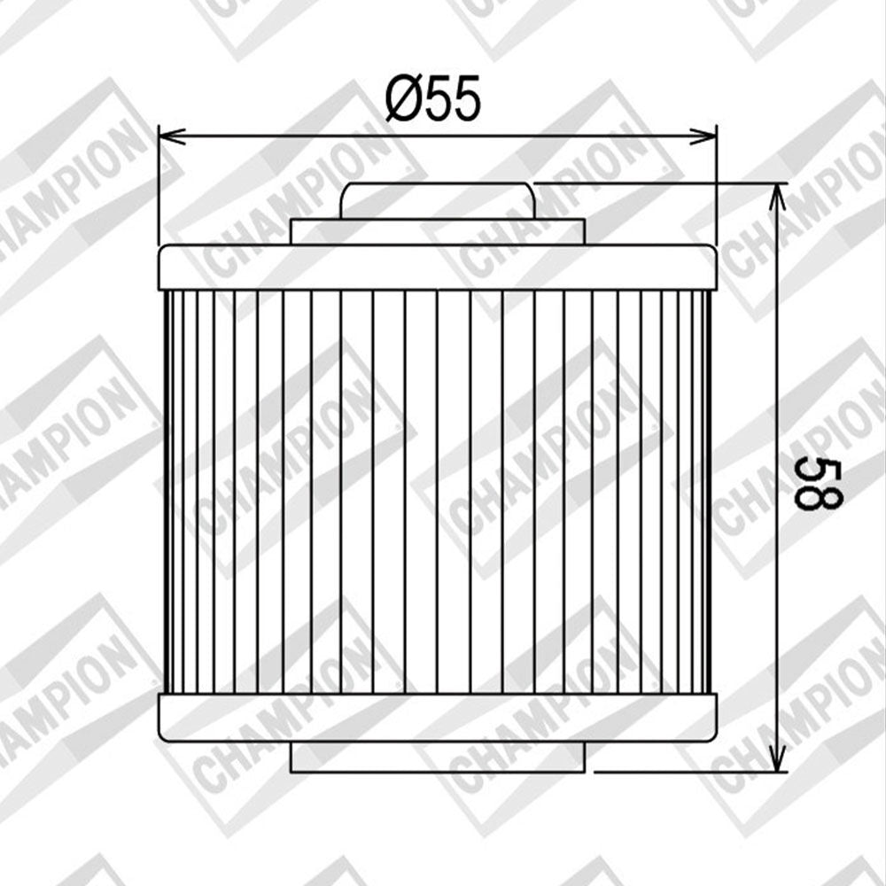 OIL FILTER CHAMPION - COF045 (145)
