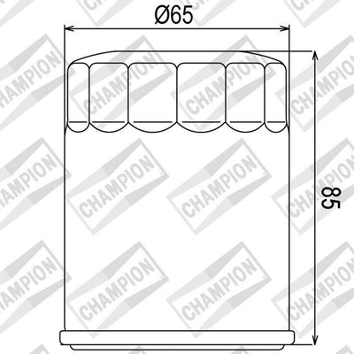 CHAMPION OIL FILTER ELEMENT - COF048 (148)