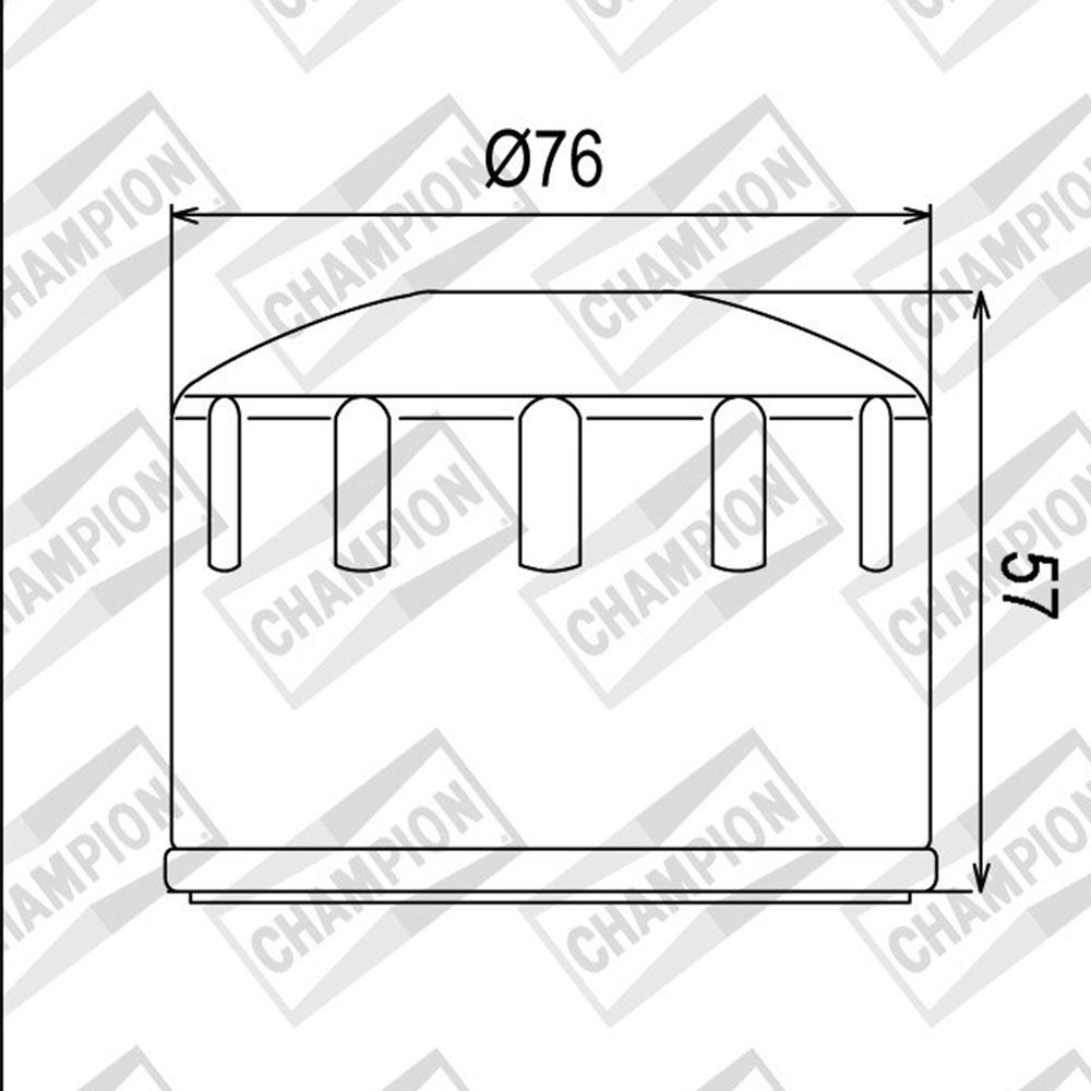 OIL FILTER CHAMPION - COF065 (165)