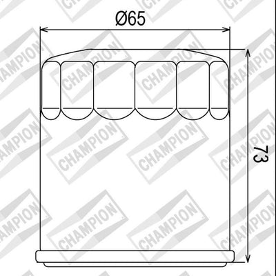 CHAMPION OIL FILTER ELEMENT - COF077 (177)
