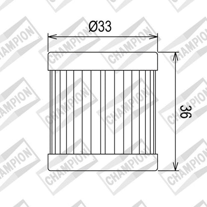 OIL FILTER CHAMPION - COF081 (181)