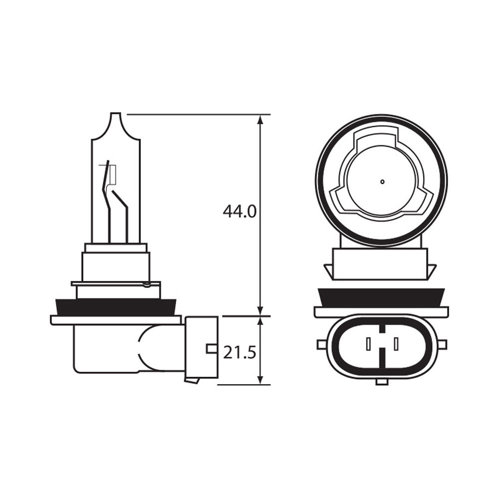 LINK - BULB - HALOGEN 12V 65W - H9 - PGJ19-5 - Shark Leathers
