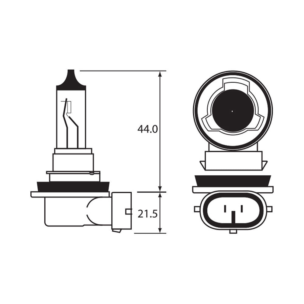 LINK - BULB - HALOGEN 12V 55W - H11 - PGJ19-2 - Shark Leathers