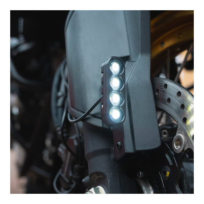 Oxford Strip Light