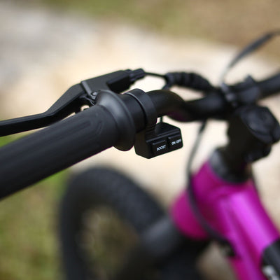 Patrol EMX 16 Anodized Prune Purple