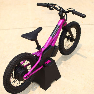 Patrol EMX 16 Anodized Prune Purple