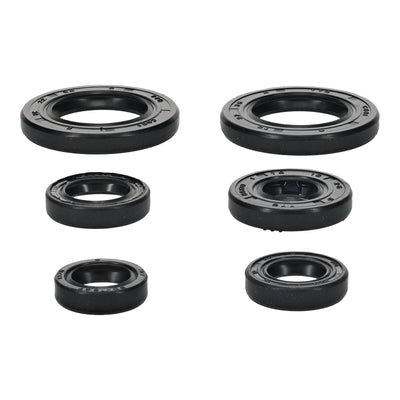 Oil Seal Kit 822391