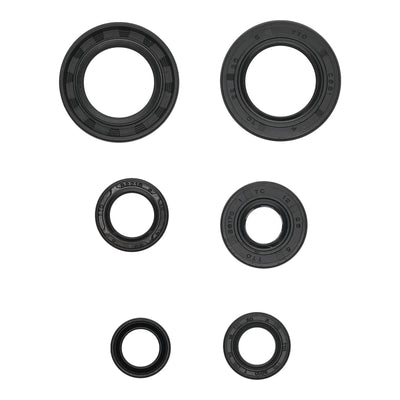 Oil Seal Kit 822391