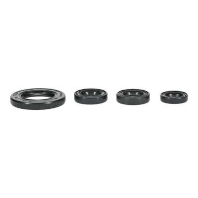 Oil Seal Kit 822395