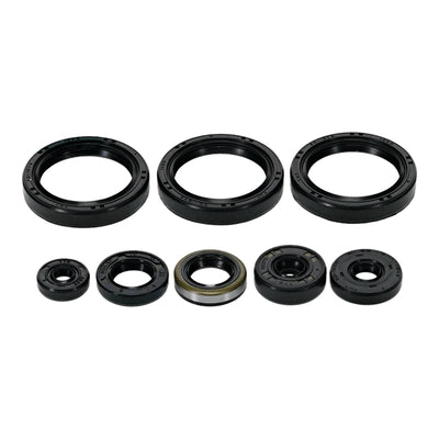 Oil Seal Kit 822403